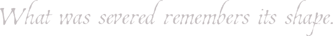 What was severed remembers its shape.